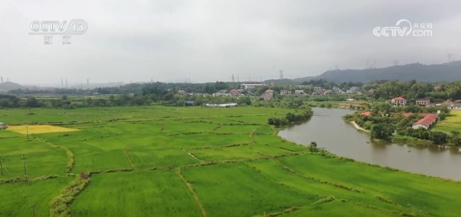 无人机喷洒作业
