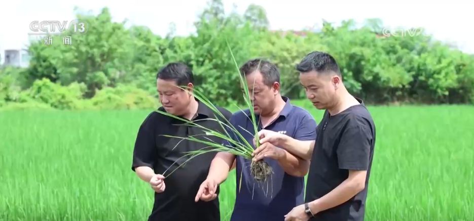 农业科技应用场景