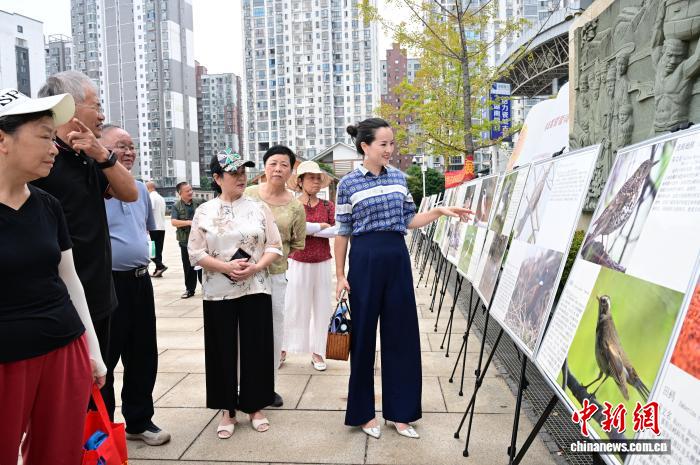 2025湘赣边秋季护鸟行动启动 守护千年候鸟迁徙通道