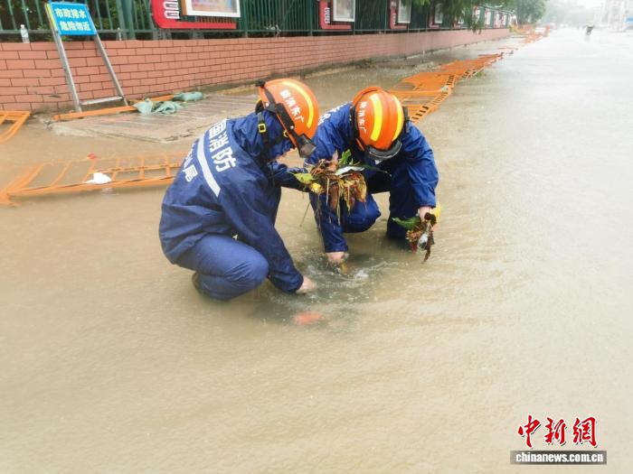 台风米娜残余环流致广东590镇街暴雨，气象局发布预警