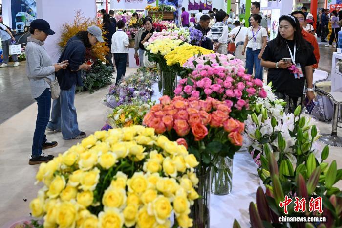 云南花卉产业崛起：中国芯引领全球花卉市场新趋势