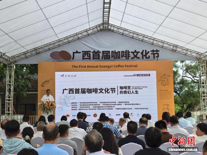 广西首届咖啡文化节启幕 咖啡全产业链初具规模