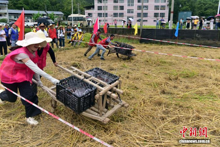 两岸同胞福建顺昌共庆中国农民丰收节 共话乡村振兴