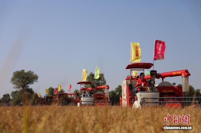 2025中国农民丰收节黑龙江主场盛大启幕，共庆丰收喜悦