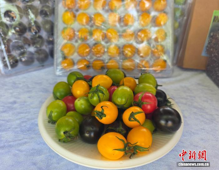 海南热带农业：2025丰收节展现高效农业新‘丰’景