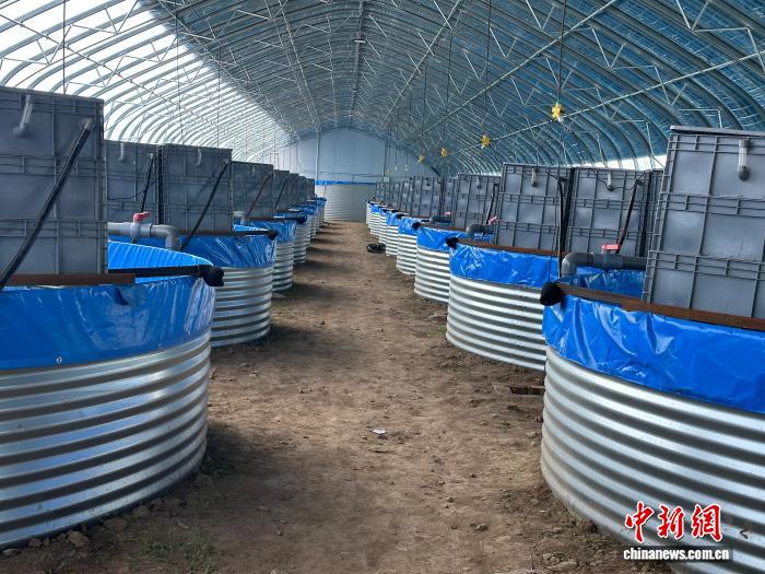 设施渔业激活老产业：一条虹鳟鱼“游出”生态经济双赢路