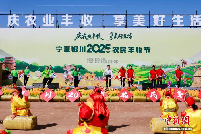丰收节活动现场