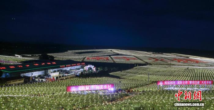 广西隆安万亩火龙果基地灯光盛宴：农文旅融合新体验