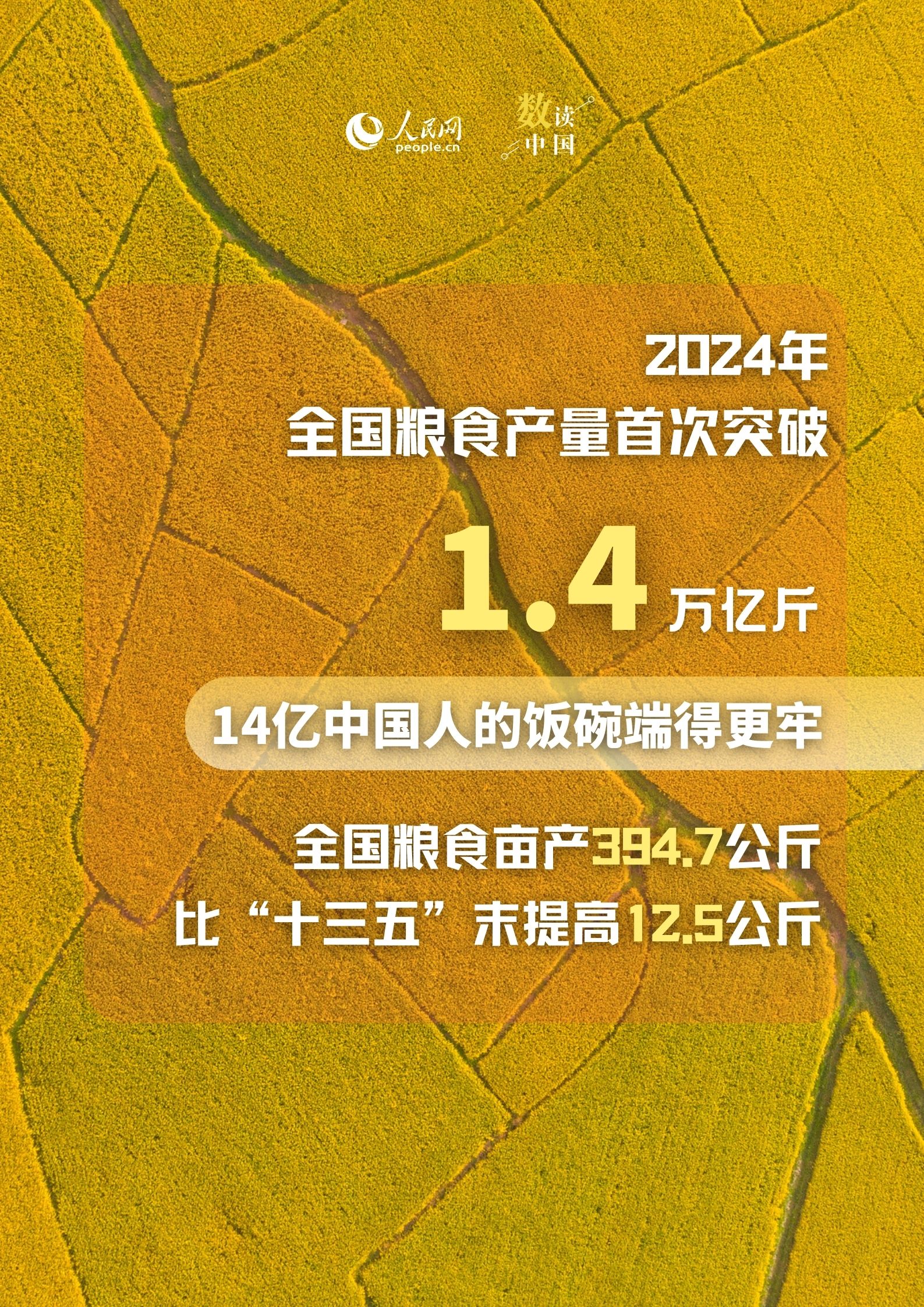 丰收节农业数据图1