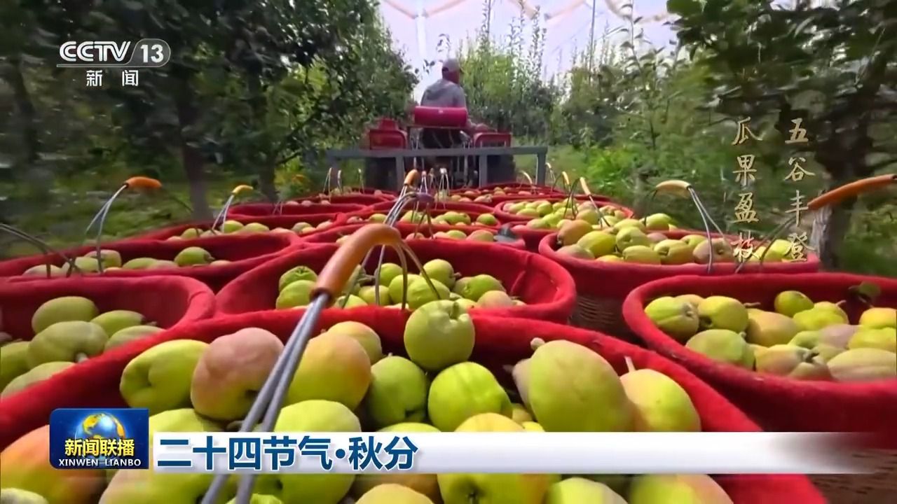 秋分丰收景象