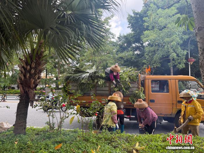 市政工作人员修剪树枝