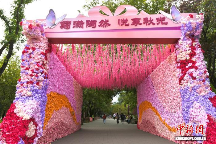 陶然亭公园第三届菊花文化节精品菊展