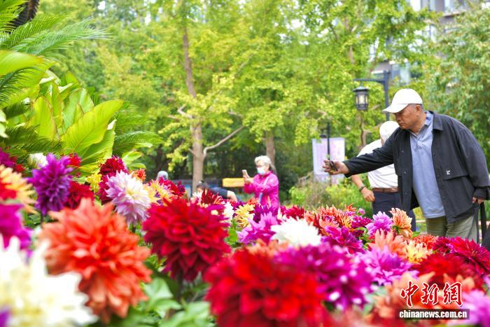 北京陶然亭公园第三届菊花文化节盛大启幕 秋日赏花新去处