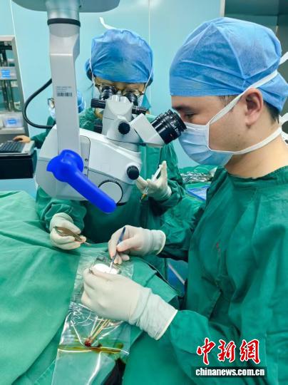 浙江援青专家首创海西眼球破裂修复术 守护高原眼健康