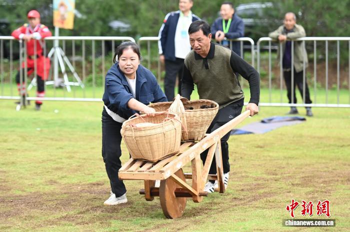陕西省农民丰收节体育健身活动竞赛现场