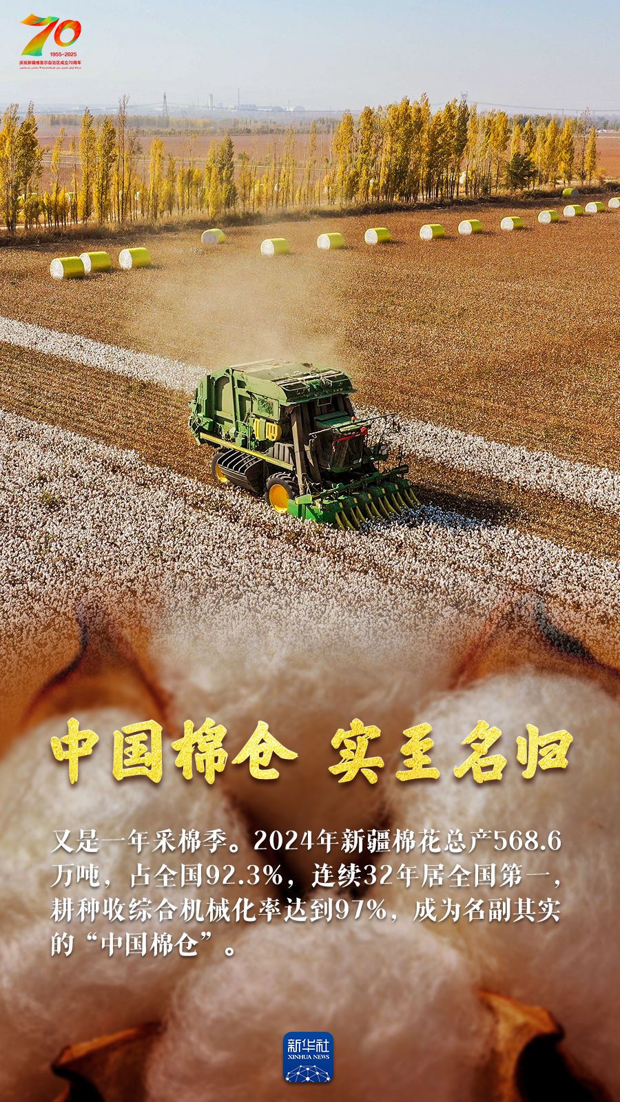 新疆棉花丰收