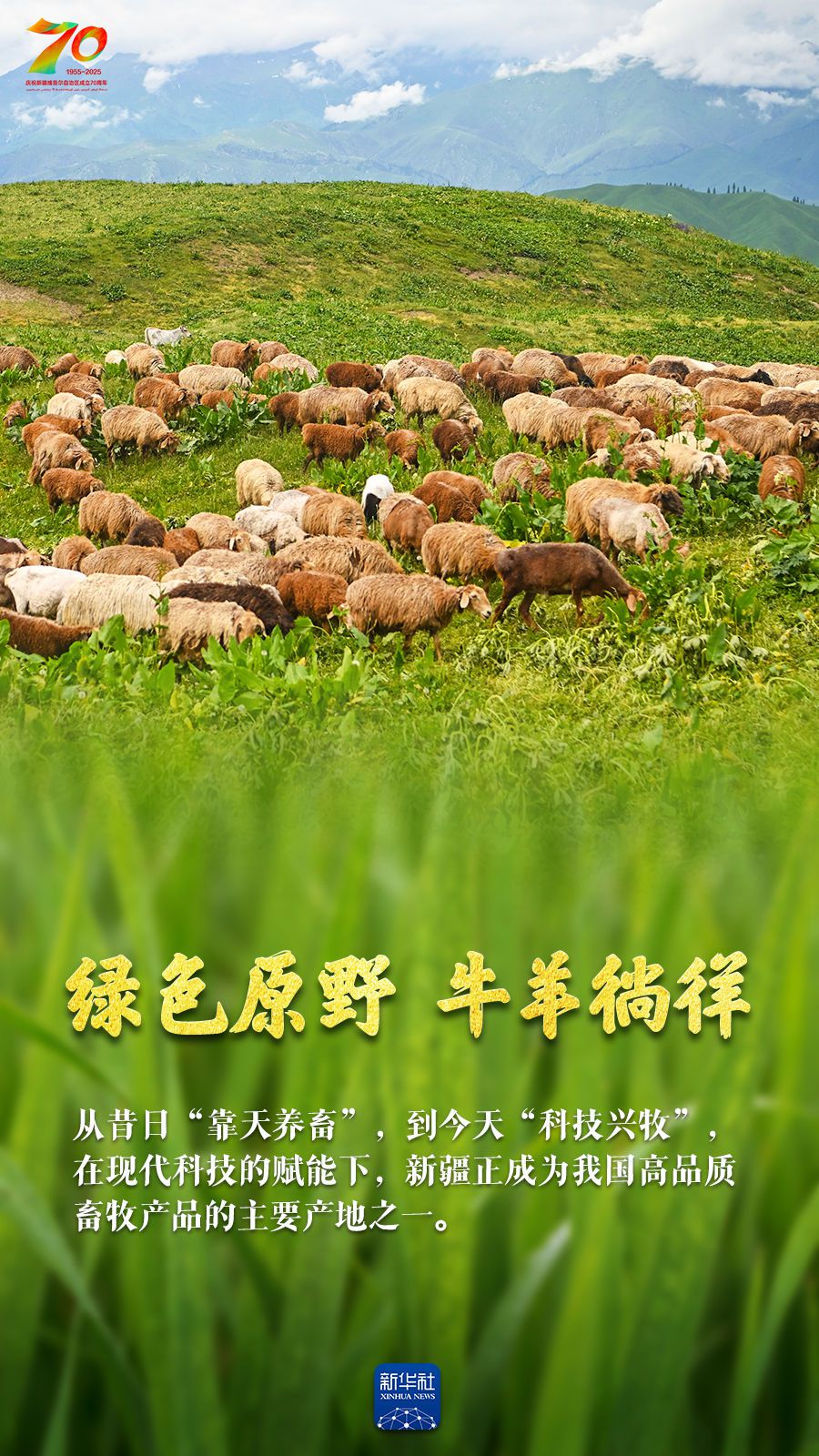 新疆海鲜出口