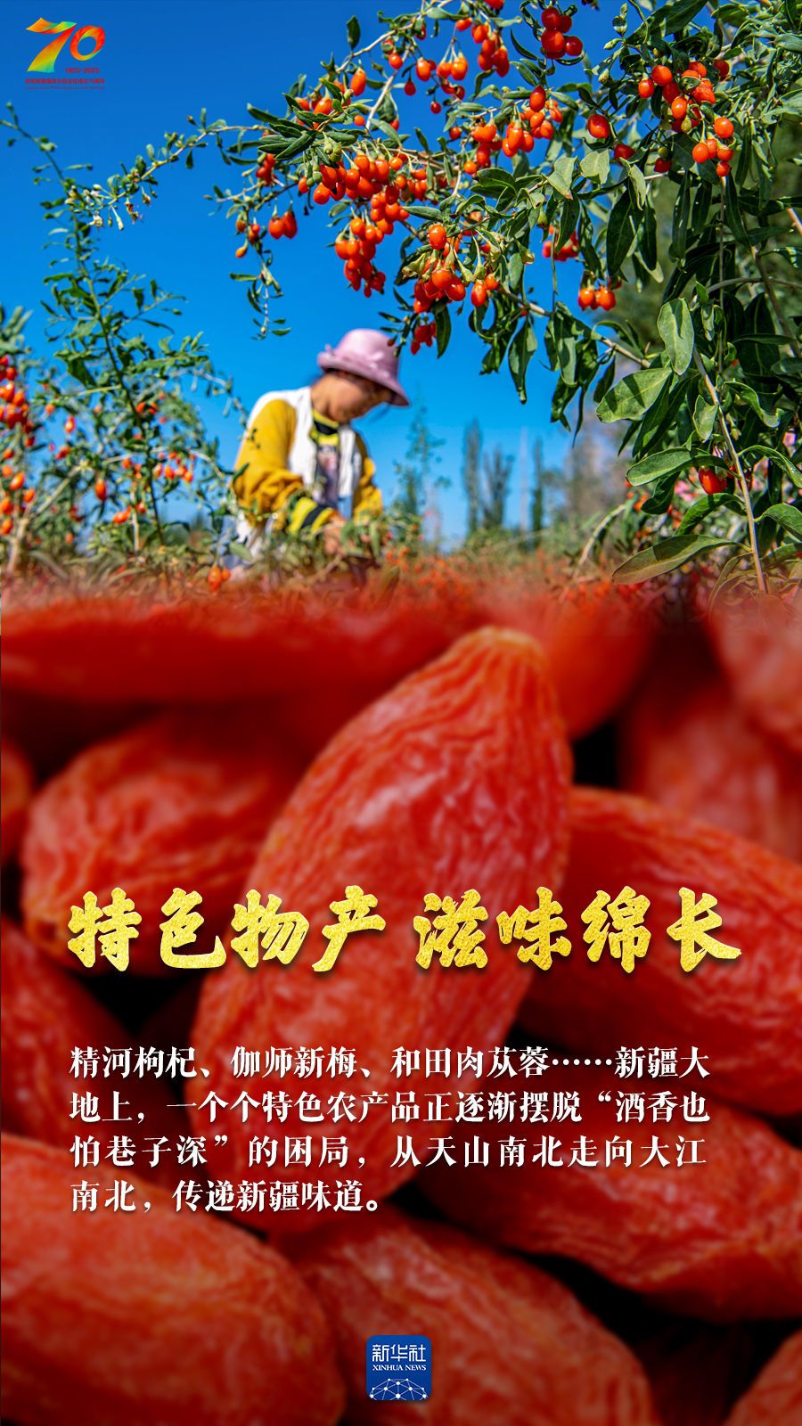 新疆丰收画卷