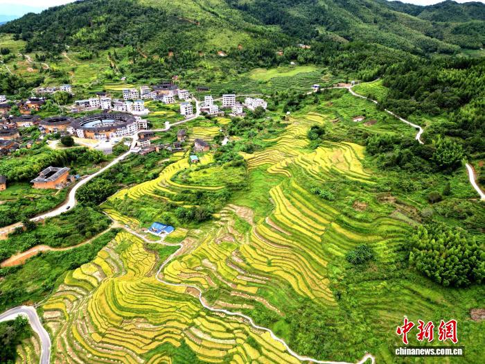 游客在永定梯田打卡