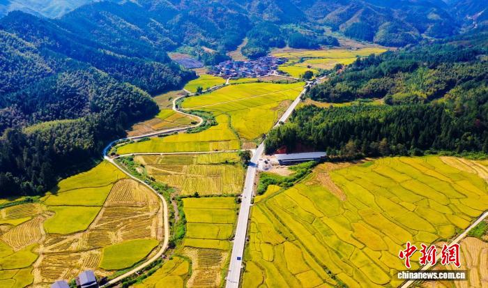（乡村行·看振兴）福建将乐：“农耕保姆站”激活乡村振兴新动能