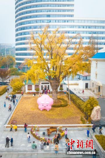 汉阳树公园
