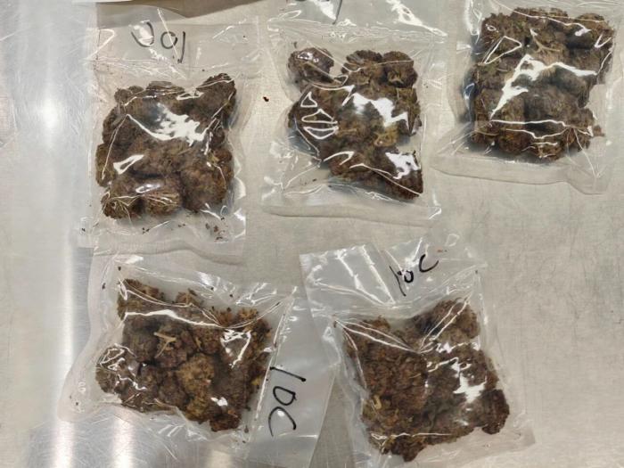 皇岗海关查获大麻49.73克