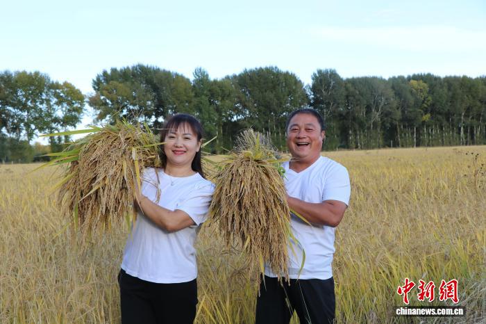 从“泥腿子”到“新农人”：“稻四代”开辟新“稻”路