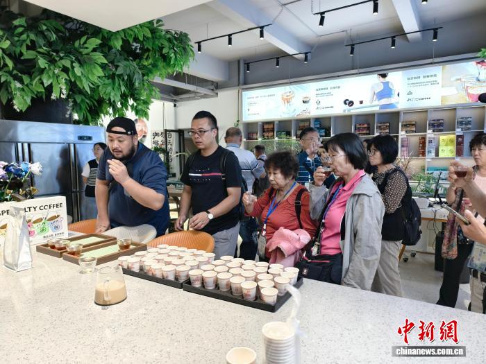 台胞云南咖啡考察行：真情互动，共探云咖产业新机遇