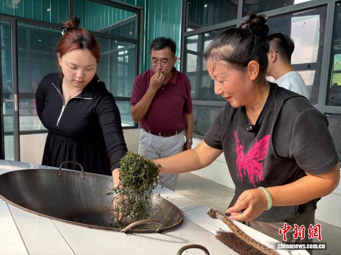 台湾自媒体人走进乡村，观看炒茶