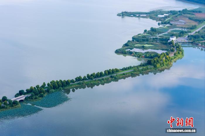 枝江金湖国家湿地公园水清岸绿(无人机图片)。彭康 摄