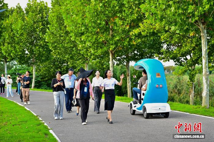 游客漫步在金湖湿地公园感受“生态宝地”的魅力。刘康 摄