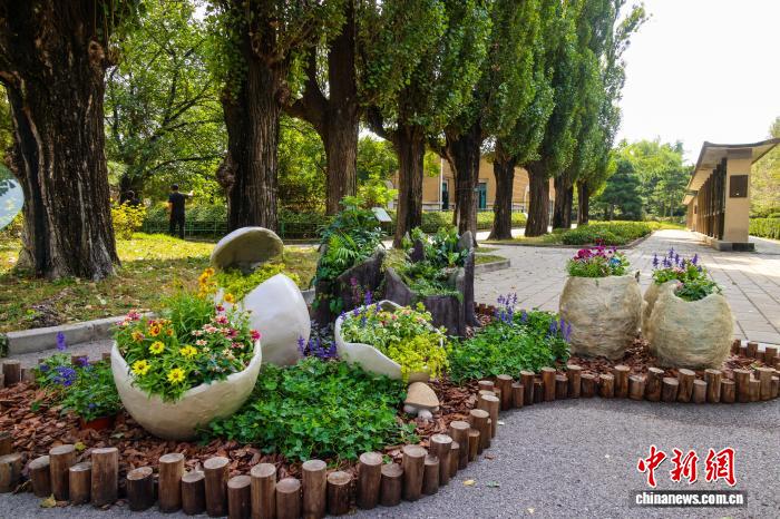 北京动物园‘生生不息’特色花钵
