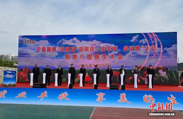 宁夏泾源上演“牛王”争霸赛