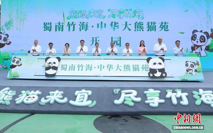 四川宜宾蜀南竹海迎四只大熊猫入驻 生态文旅再升级