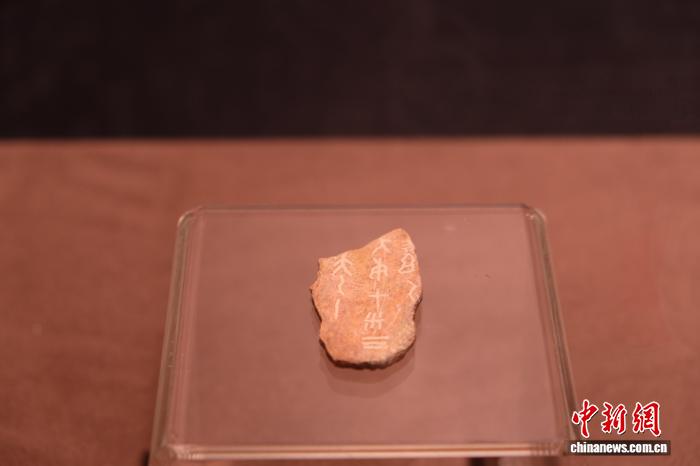 殷墟甲骨展品