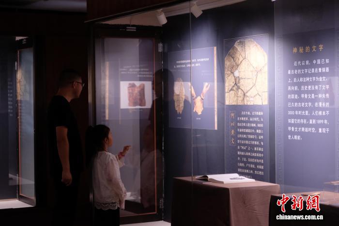 宁波展出殷墟甲骨与居延汉简：溯源中华文脉的学术盛宴