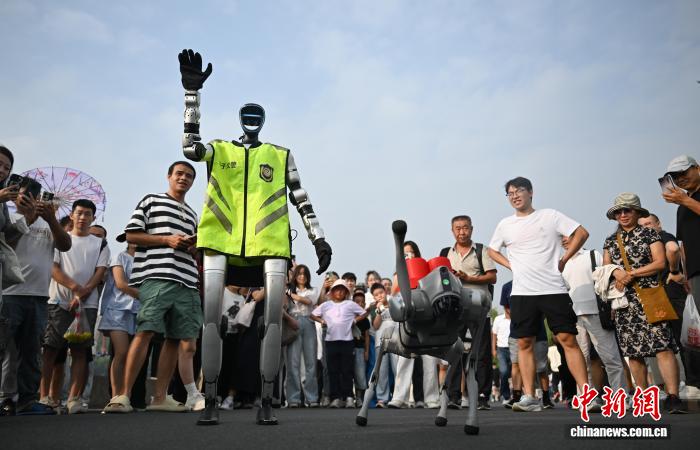 杭州西湖新十景：科技与人文共绘未来画卷