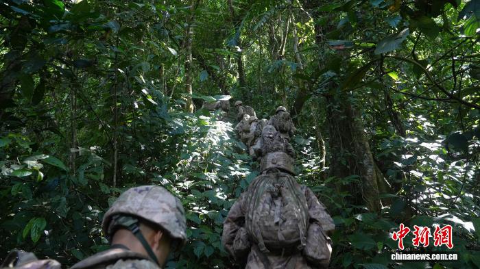 巡逻官兵穿越密林区