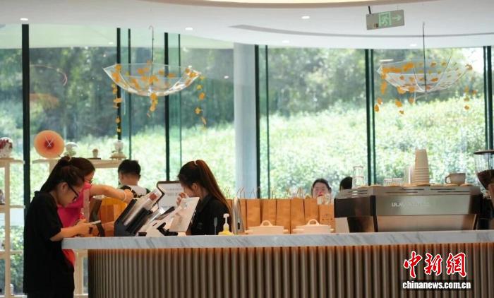 浙江海盐丰义村：近郊微度假成风潮，90后团队引领乡村文旅新潮流