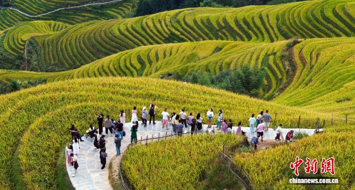 广西龙胜国庆旅游热：19.1万游客共赴多元文化盛宴