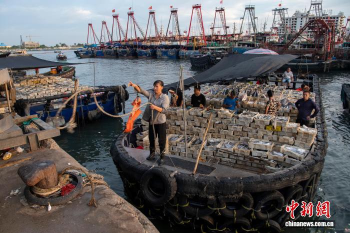 台风“麦德姆”逼近 广西北海渐次启动“五停”措施