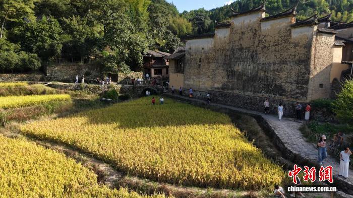 邂逅“诗和远方” 福建屏南乡村游热力攀升