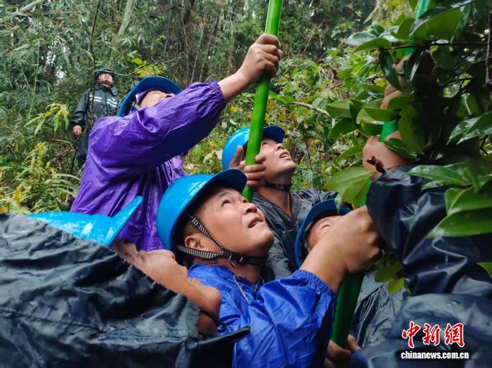 台风‘麦德姆’二次登陆防城港 广西电网全力抢修保供电