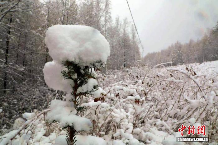 大兴安岭十月降雪场景