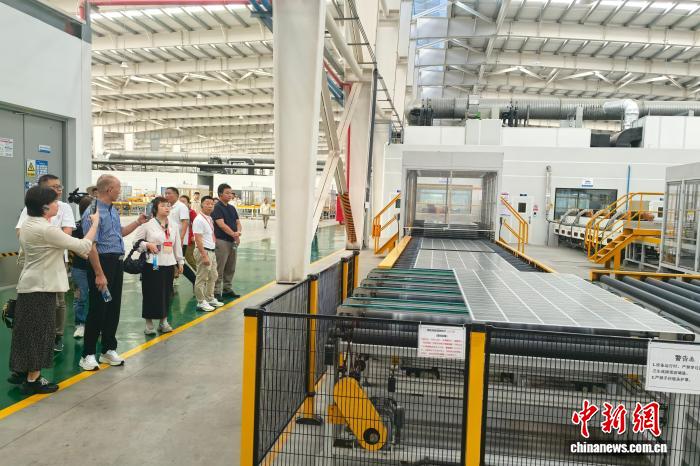 海内外漳州人故乡行：跨越山海的温暖之约