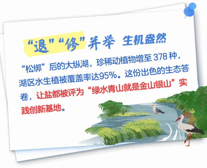 大纵湖生态修复