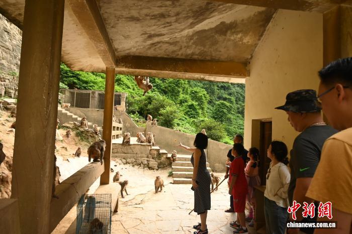 东盟游客赴渝体验温泉旅游热潮兴起