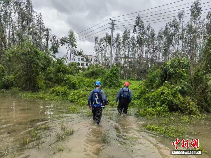 广东强台风“麦德姆”后电力全面恢复，灾后抢修显成效