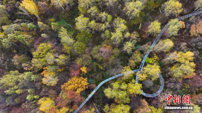黑龙江8天接待2612.5万游客 伊春成国庆长线游热门黑马