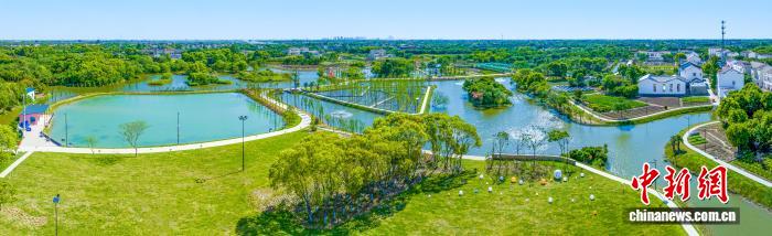 青春治水谱新篇：江苏葛庄村“治水书记”蒋红明的乡村振兴路